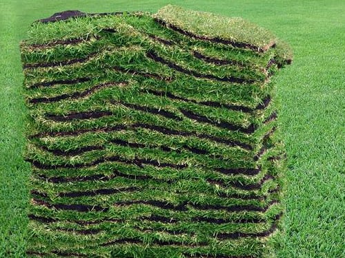 Northwest Indian S Premier Landscaping Service Provider Sod Installation